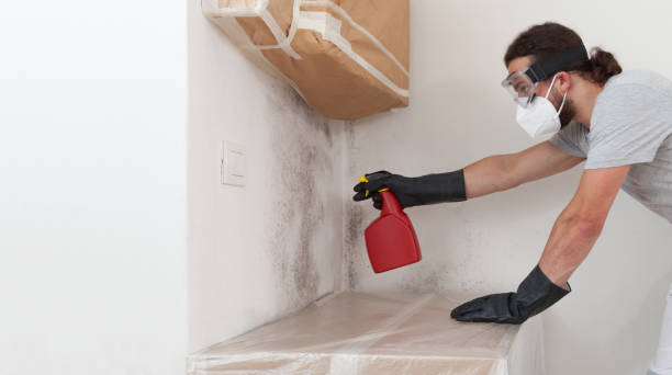 Professional Bathroom Mold Removal technician working in Mount Ephraim, NJ